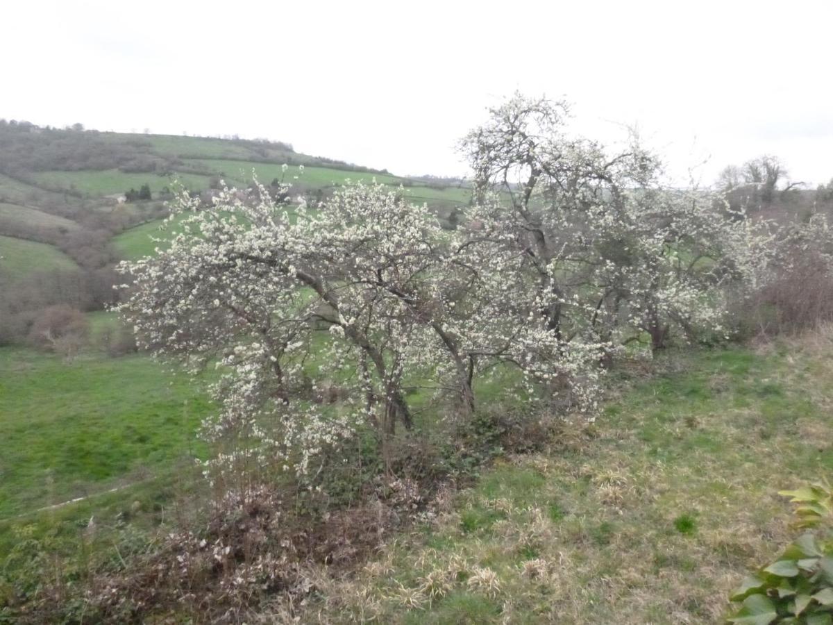 La Maison Des Fleurs Bed & Breakfast Montembœuf Екстериор снимка