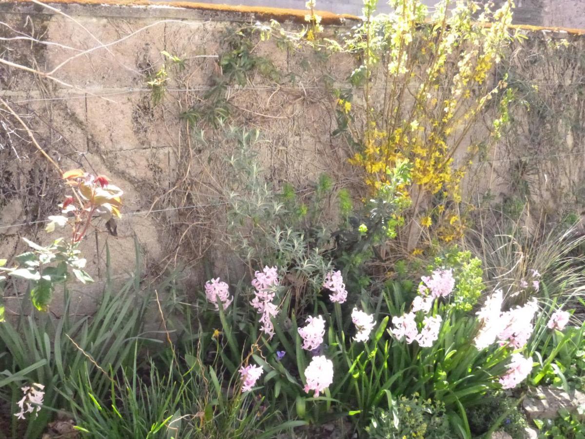 La Maison Des Fleurs Montembœuf Екстериор снимка